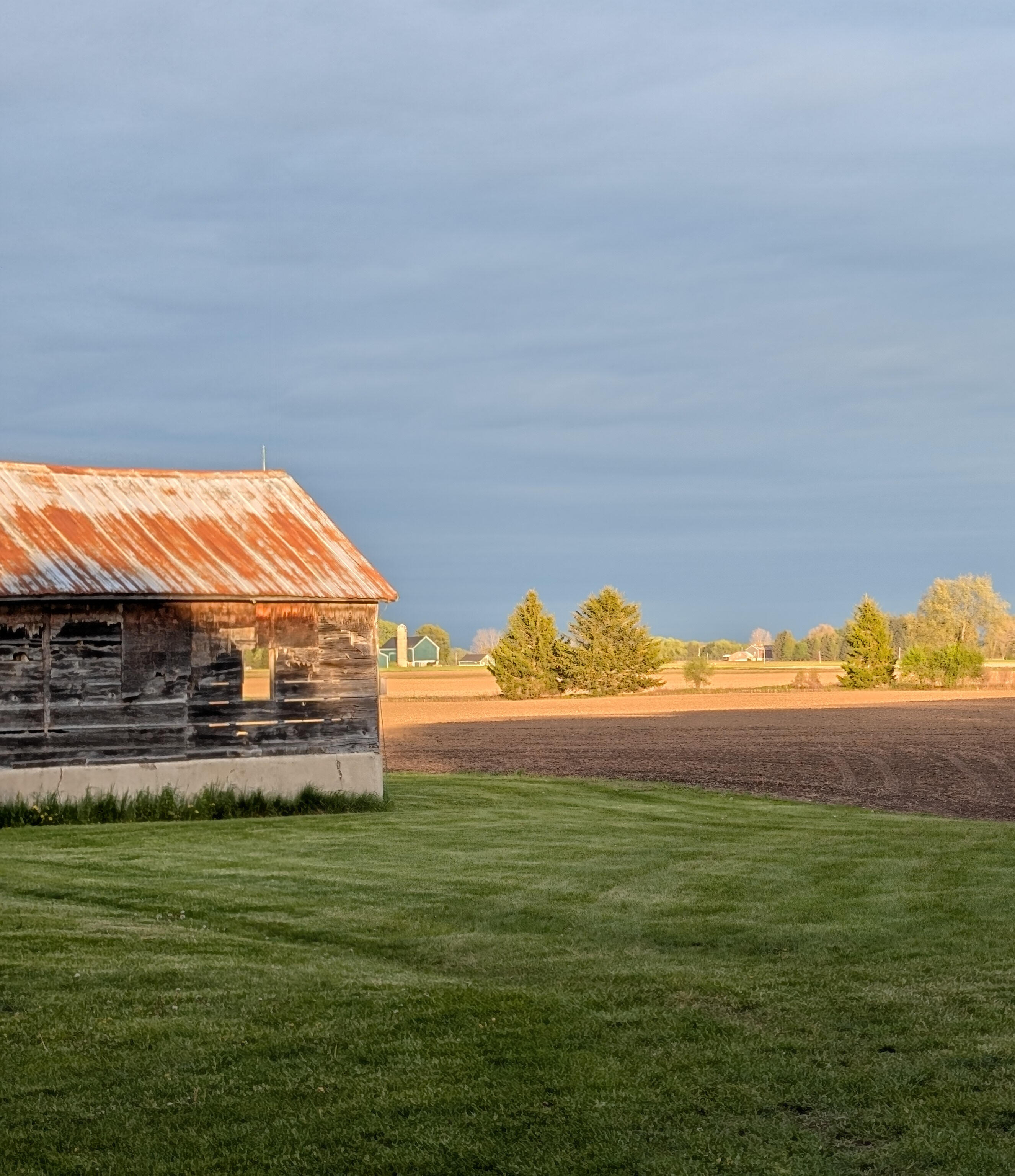 Field Near Thorndale